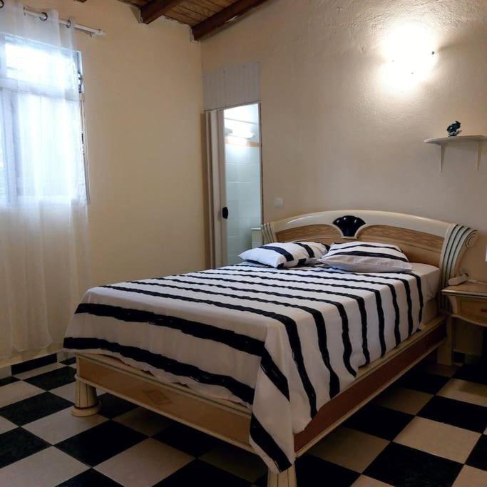 La Petite Maison, Spacieuse, Avec Jardin / Parking Sainte-Rose Εξωτερικό φωτογραφία